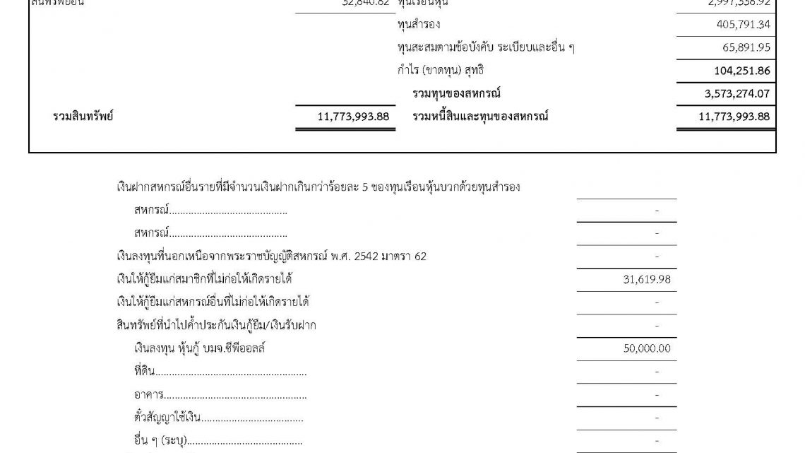 รายการย่อแสดงสินทรัพย์และหนี้สิน รายการย่อแสดงสินทรัพย์และหนี้สิน